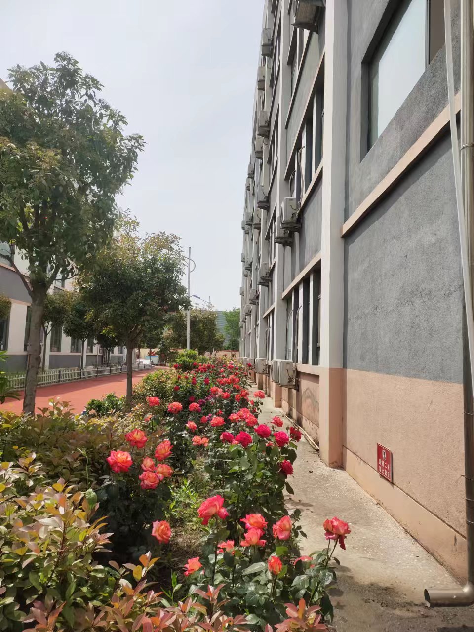 兰陵县发挥“政府+慈善+社会力量”  全力打造“兰馨惠民”救助品牌