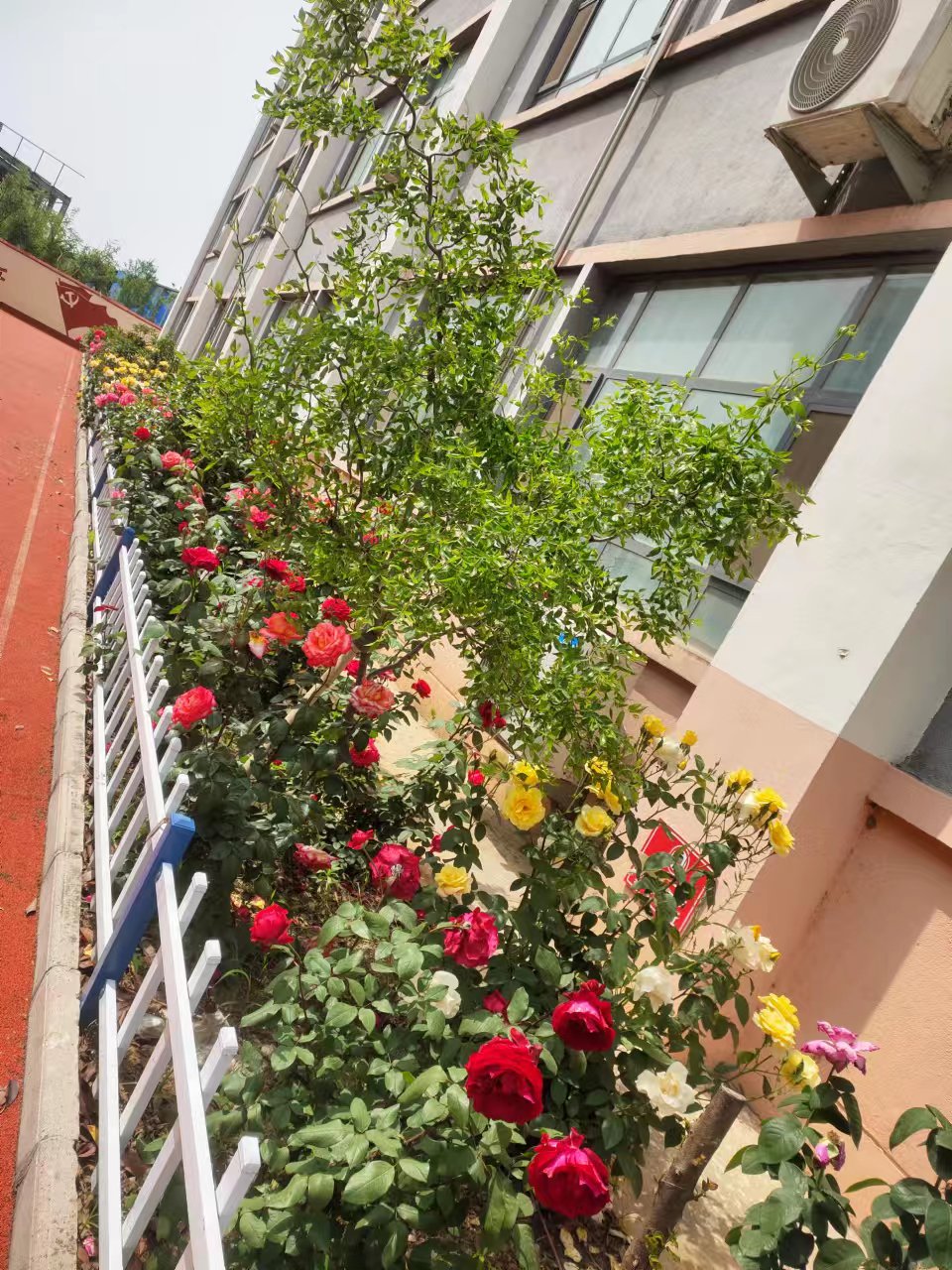 兰陵县创新推行“343”工作法  高质量推进经济困难失能老年人关爱救助工作