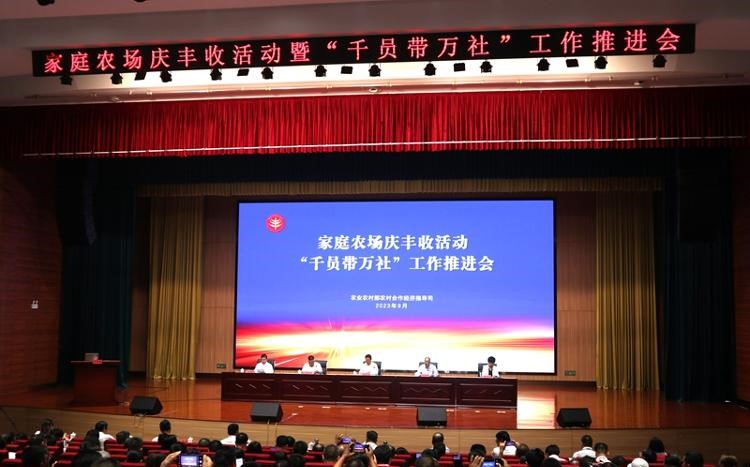 兰陵家庭农场成绩单亮眼：数量超4000家，种植面积近24万亩