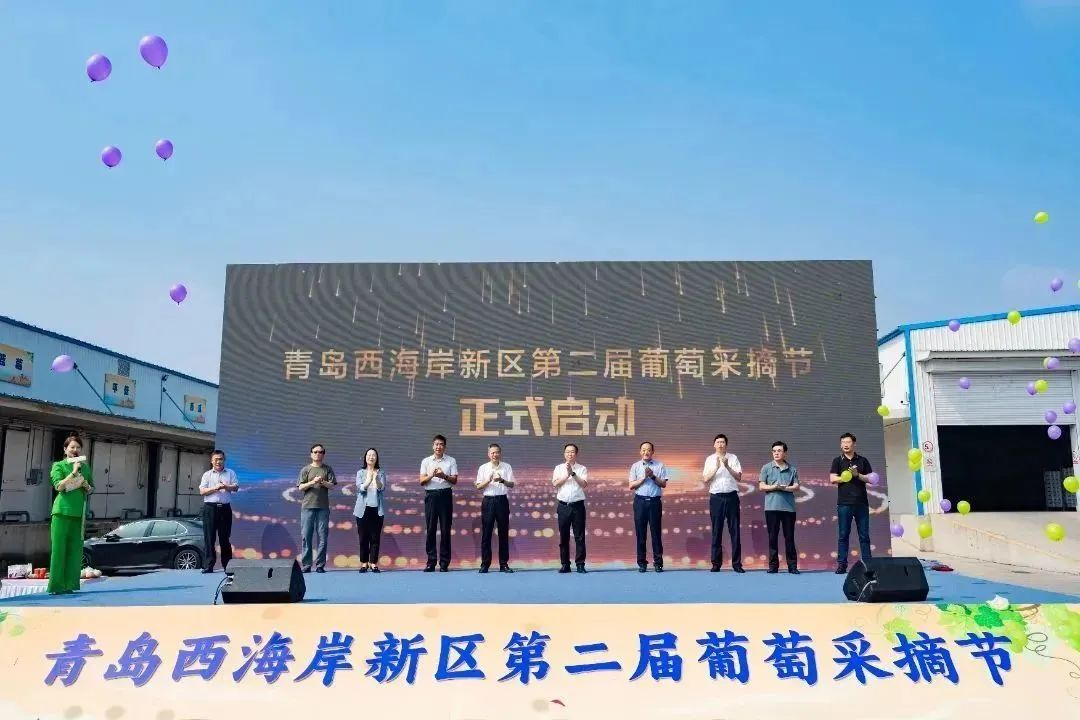 文旅搭台，串联产业链条——青岛西海岸新区第二届葡萄采摘节在大村镇成功举办