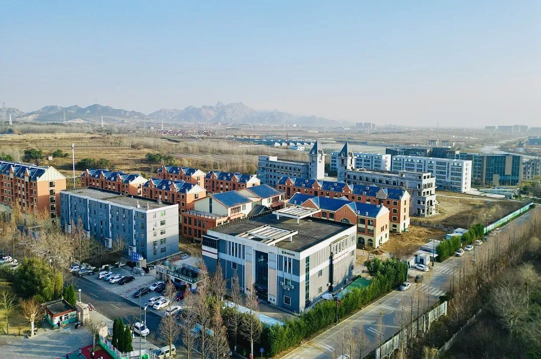 青岛西海岸新区打造“画美达尼”产业振兴新样板入选青岛市地方改革案例