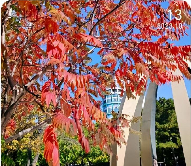 兰陵县矿坑镇：人居环境整治“不停歇” 美丽乡村“持久美”