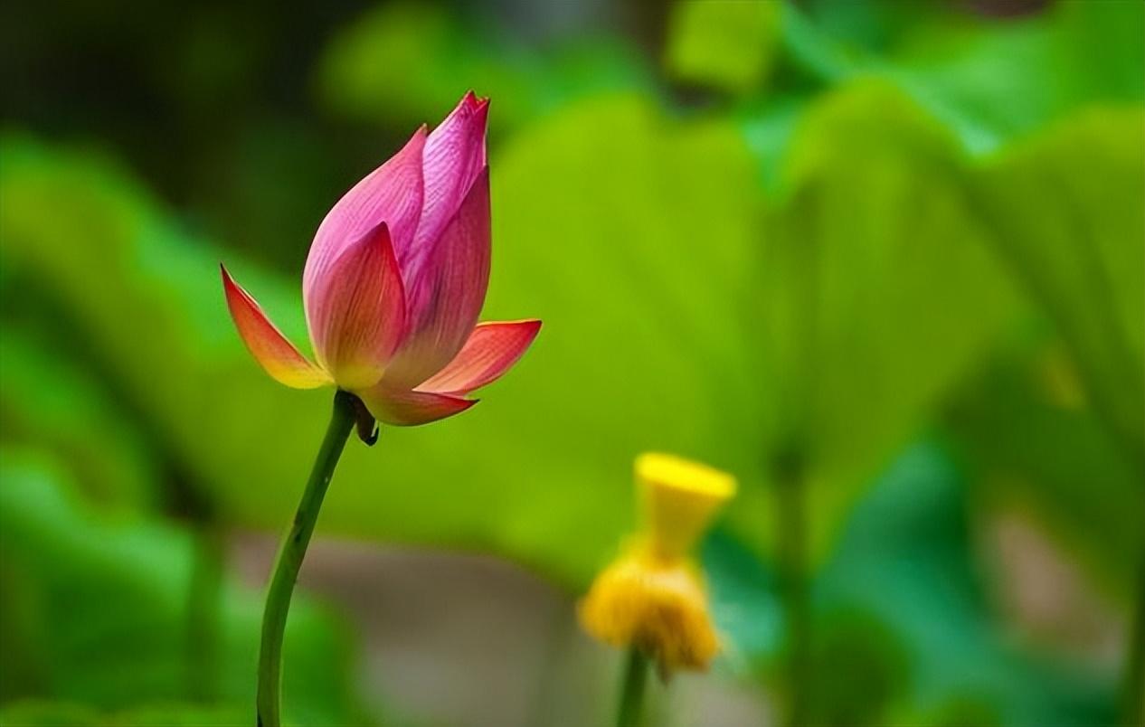 山东省兰陵县庄坞镇：有一种年味叫“坚守”