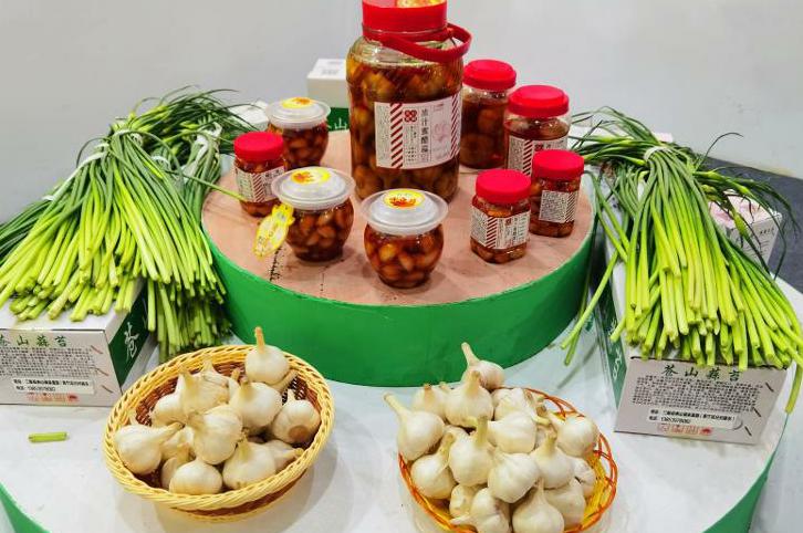 山东兰陵县：精准施策，助力蔬菜产业高质量发展