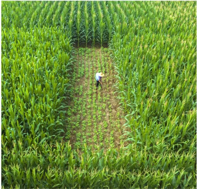 山东兰陵县 ：“把脉问诊”开良方 人大为民办实事