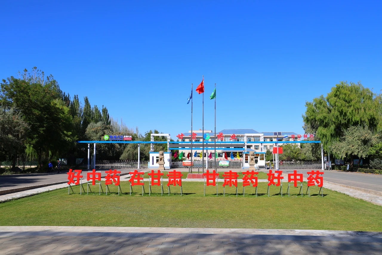 甘肃普安制药股份有限公司:党建引领促发展，节能降耗增效益