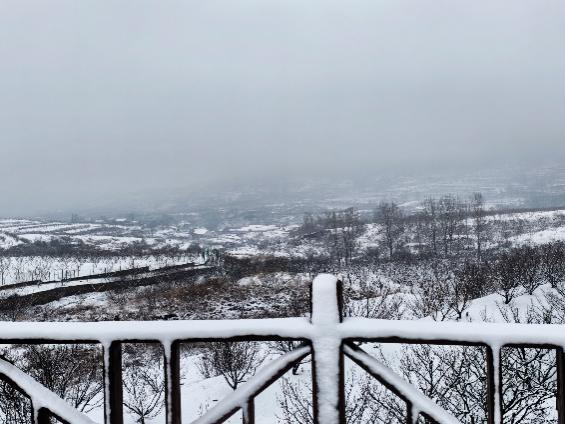 杨家山里示范片区：雪漫群山绘新景，乡村振兴展宏图