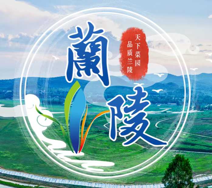 山东兰陵：强村公司赋能，打造乡村振兴“六小龙”