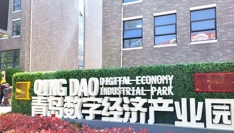 青岛擘画数字贸易新蓝图 全力打造数字贸易新高地