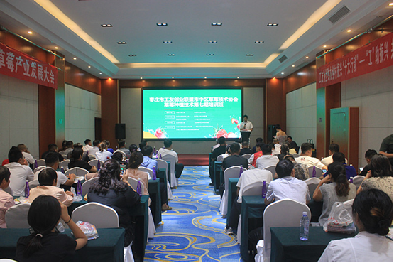 枣庄市市中区开展种植管理培训  助力草莓产业高质量发展