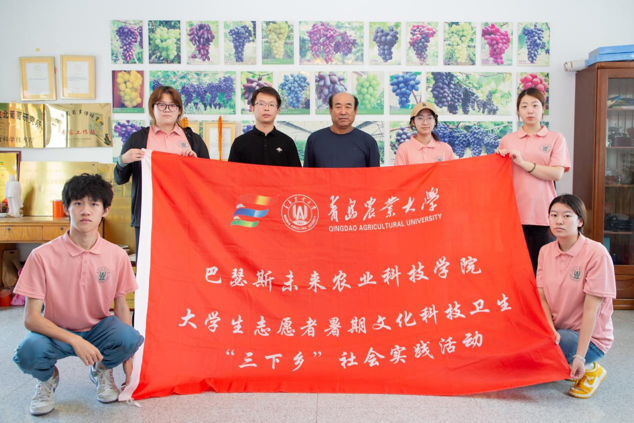 从种植到出海——青岛农大巴瑟斯学子三下乡绘就平度葡萄产业新图景