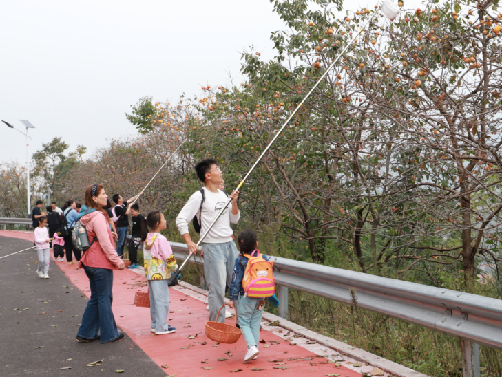网红村“后石沟”十一假期再出圈