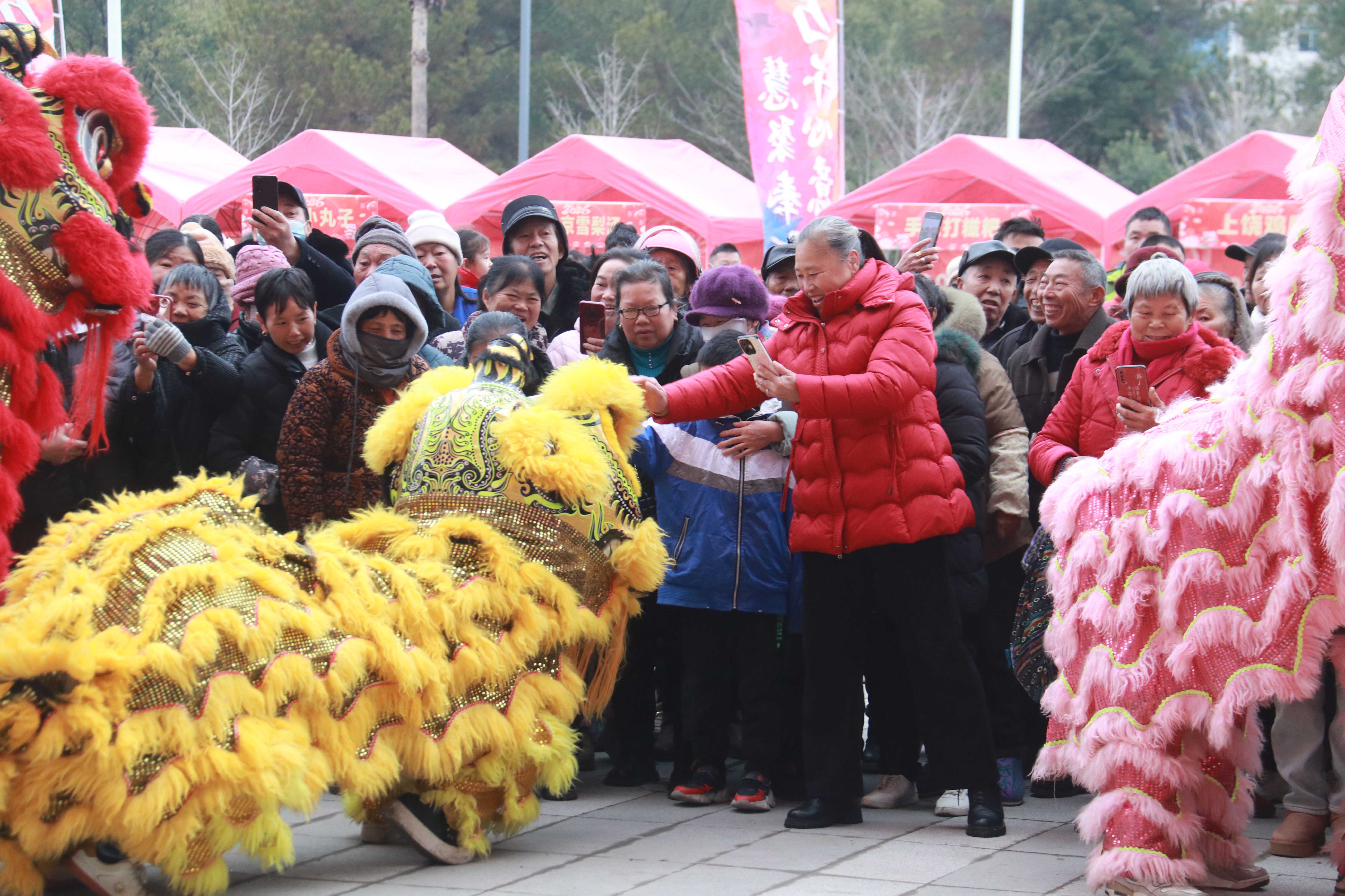 江西奉新：舞龙狮 迎新春