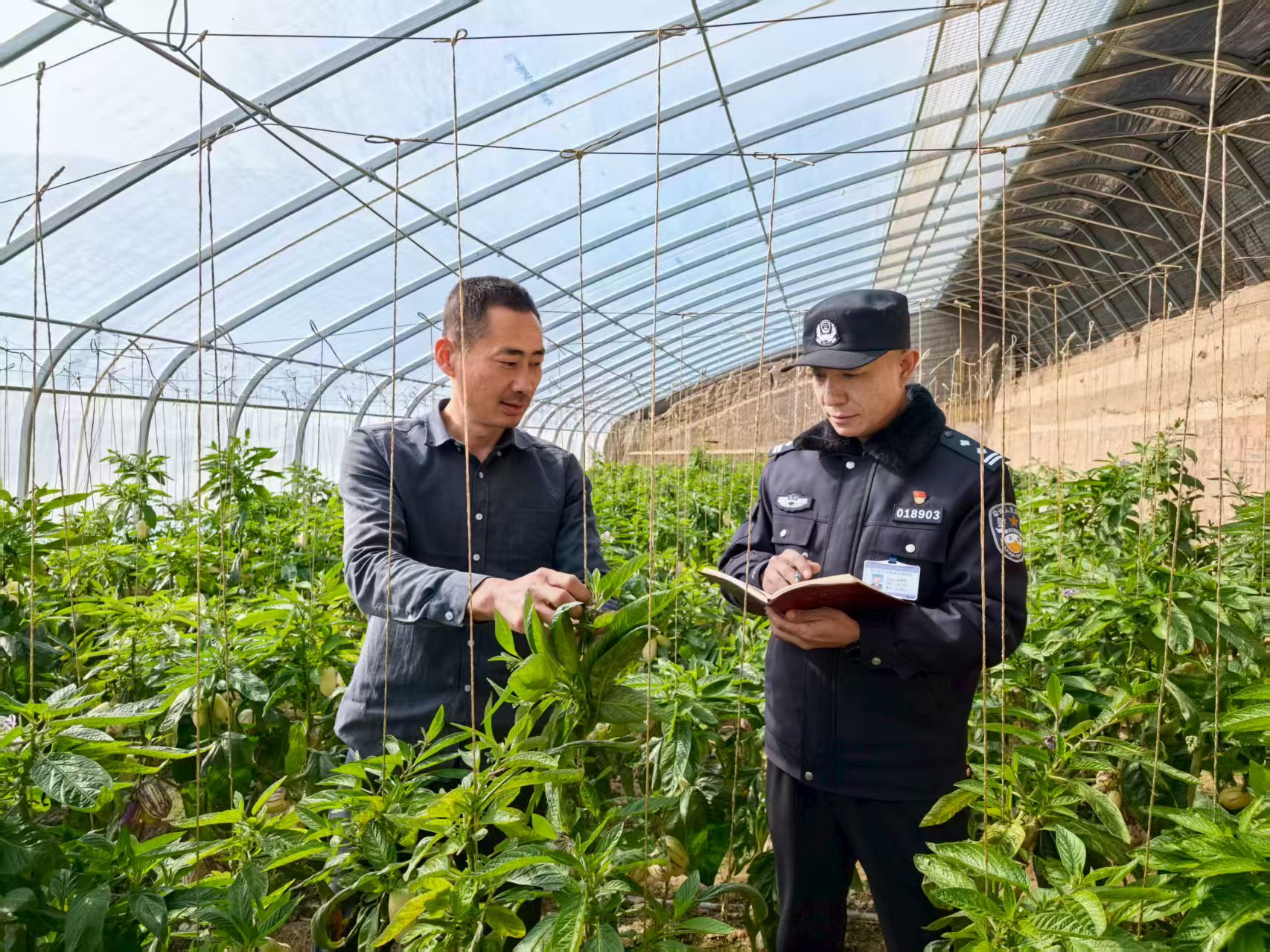 兰州基层警务带头人贺惠军：“党建+警务